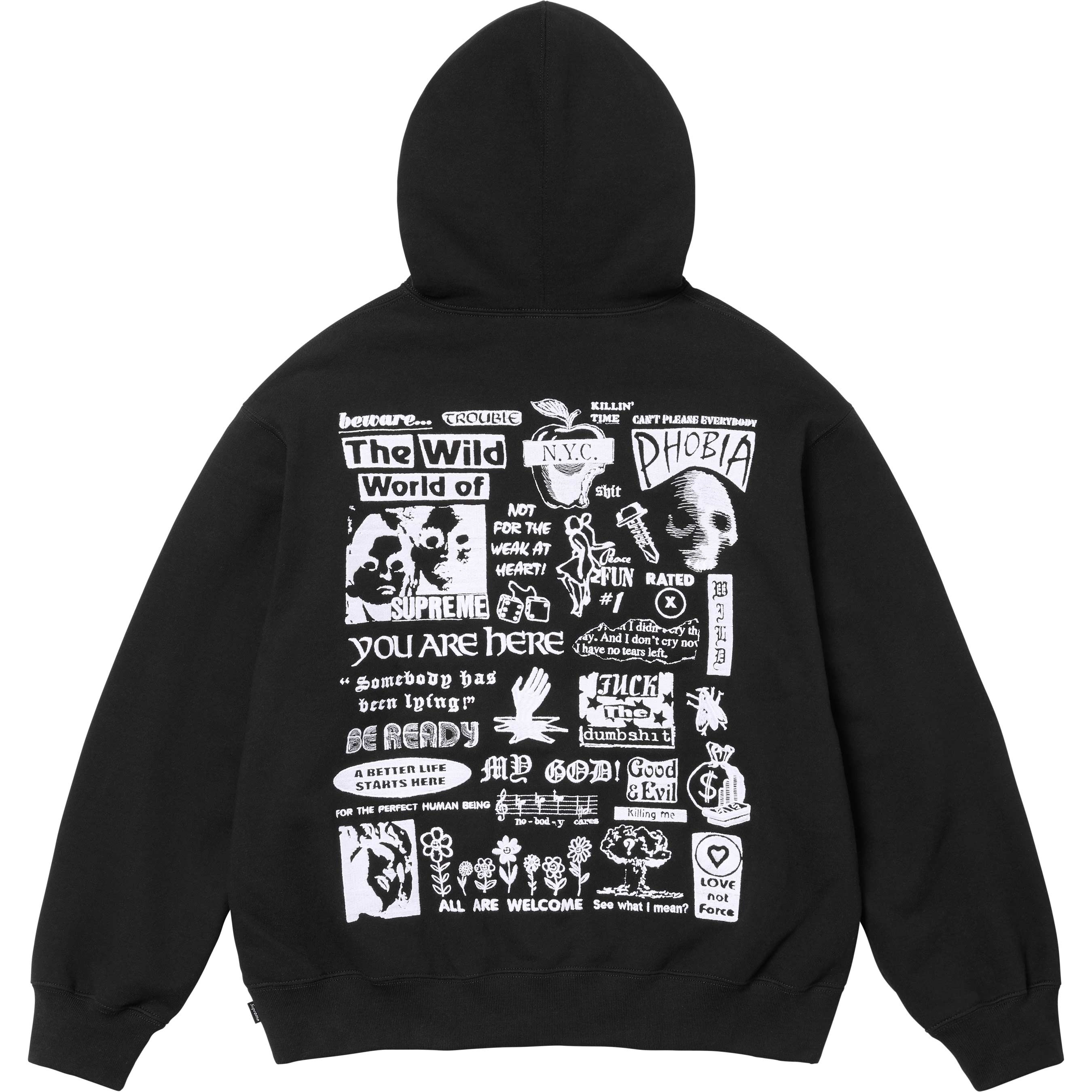 Wild Embroidered Hooded Sweatshirt view 14